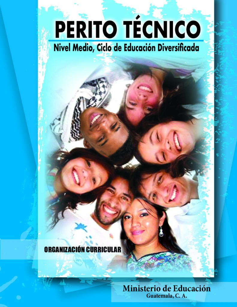 thumbnail of PERITO TÉCNICO